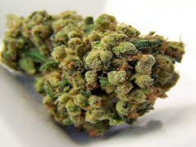 Buy Sour Diesel Marijuana Strain Online